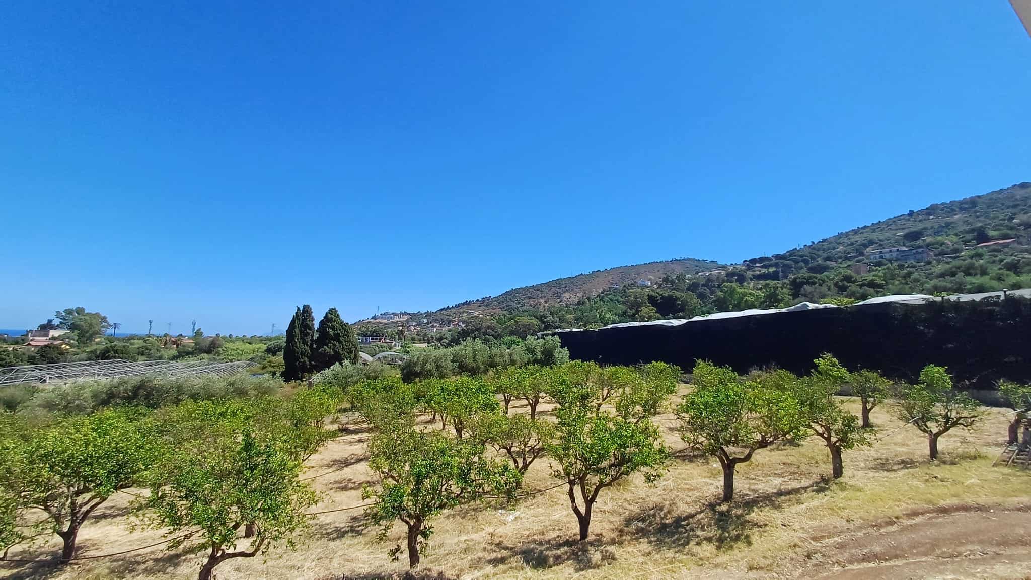 Terreno agricolo con alberi da frutto e vista sulle colline sotto un cielo azzurro.