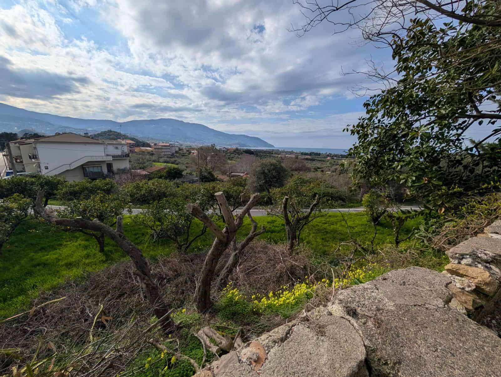 Paesaggio rurale con alberi, terreno e vista mare in lontananza, in vendita in via Casa Nuove Russo, Patti, Me.