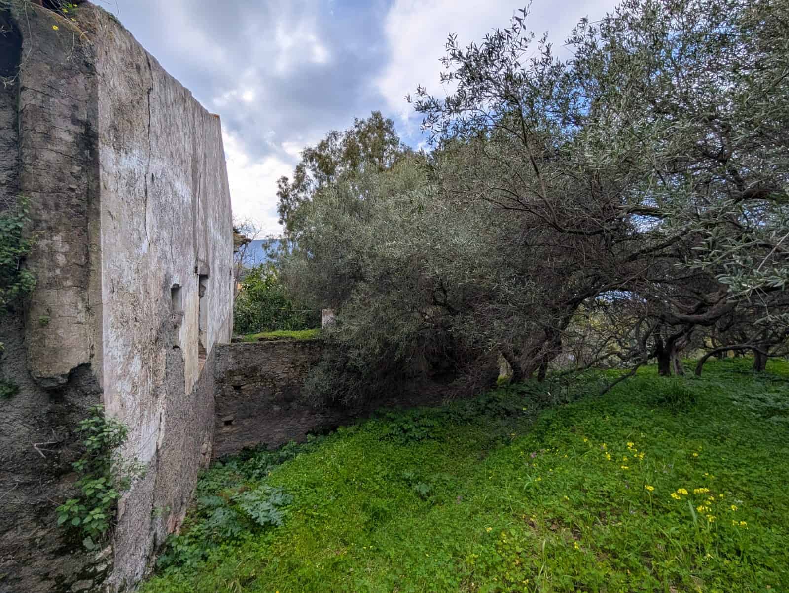 Terreno con rudere e alberi in vendita in via Casa Nuove Russo, Patti, Me.