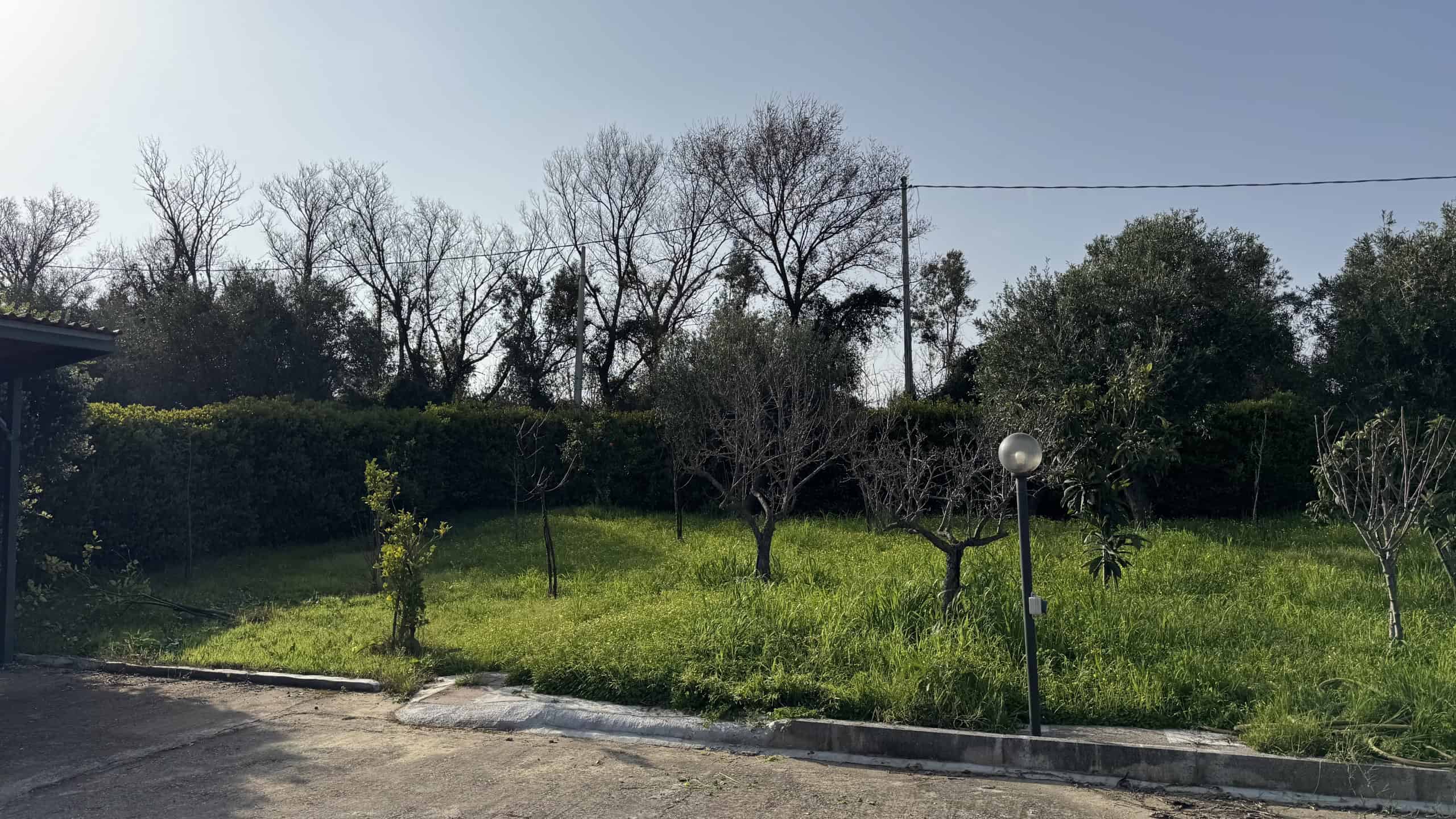 Giardino con alberi e cespugli vicino a una strada in una zona residenziale di Corriolo, Me.