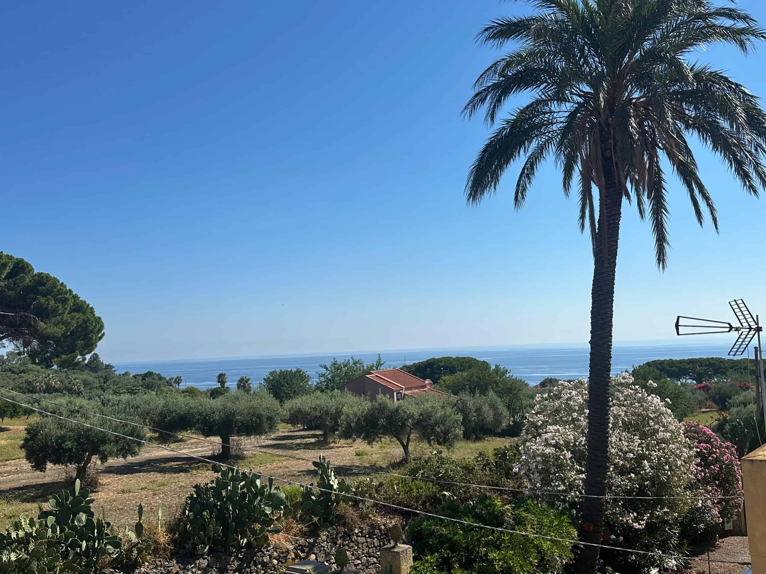 Vista panoramica sulla costa di Milazzo con palme, vegetazione e mare in lontananza sotto un cielo sereno.