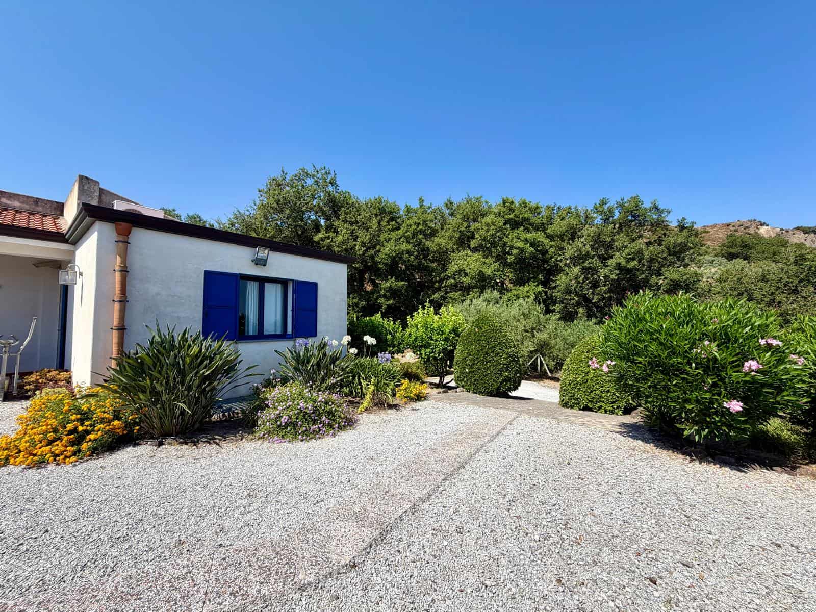 Casa con giardino ben curato e piante verdi, sotto un cielo azzurro, in una zona tranquilla e naturale.