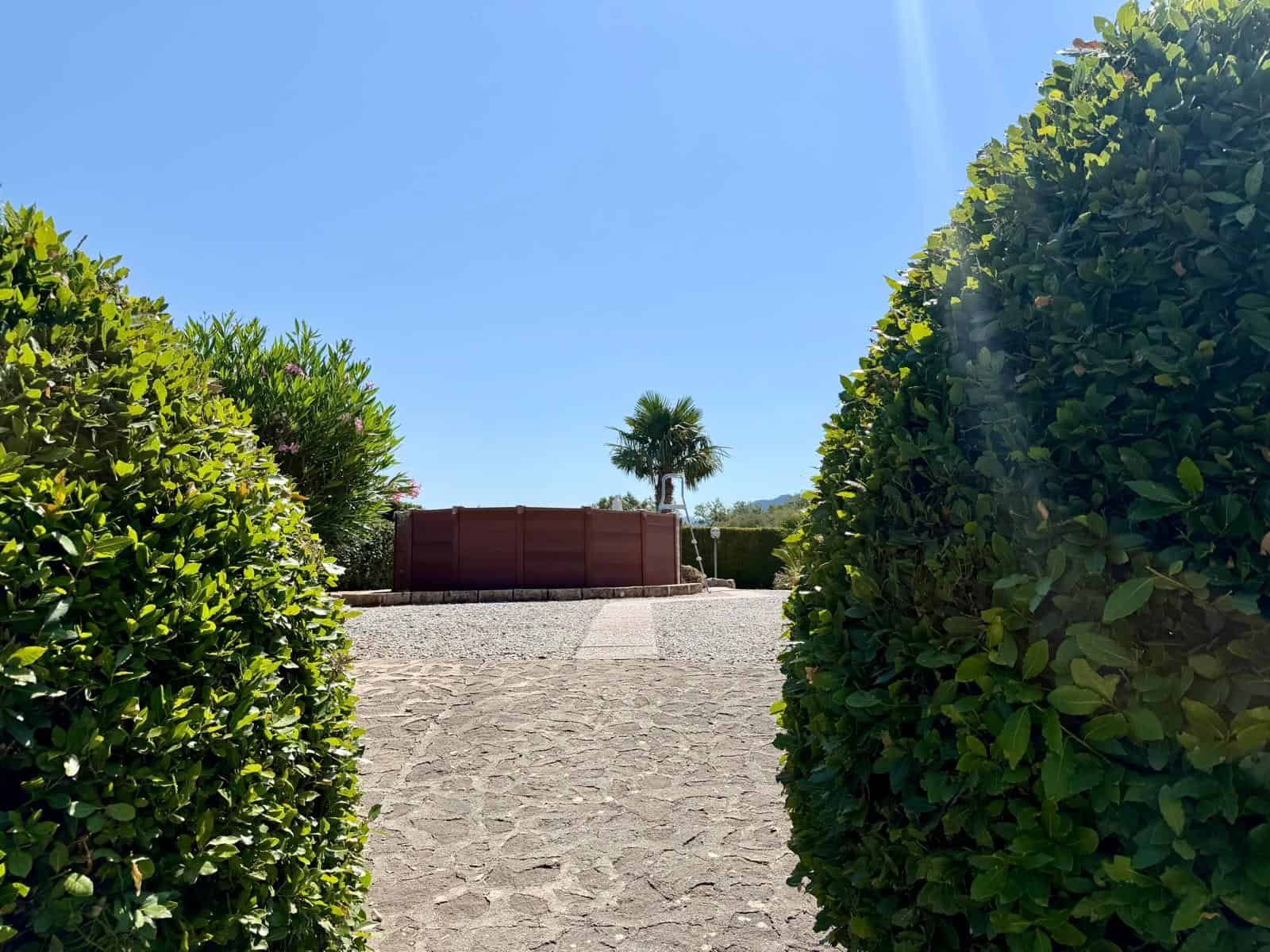Giardino soleggiato con siepi verdi e vista su una piscina e palme, atmosfera estiva e rilassante.