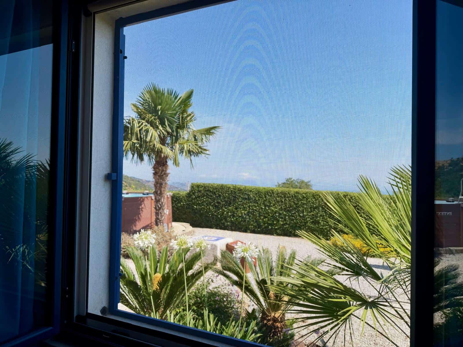 Vista di un giardino tropicale con palme e cespugli verdi vista da una finestra moderna.