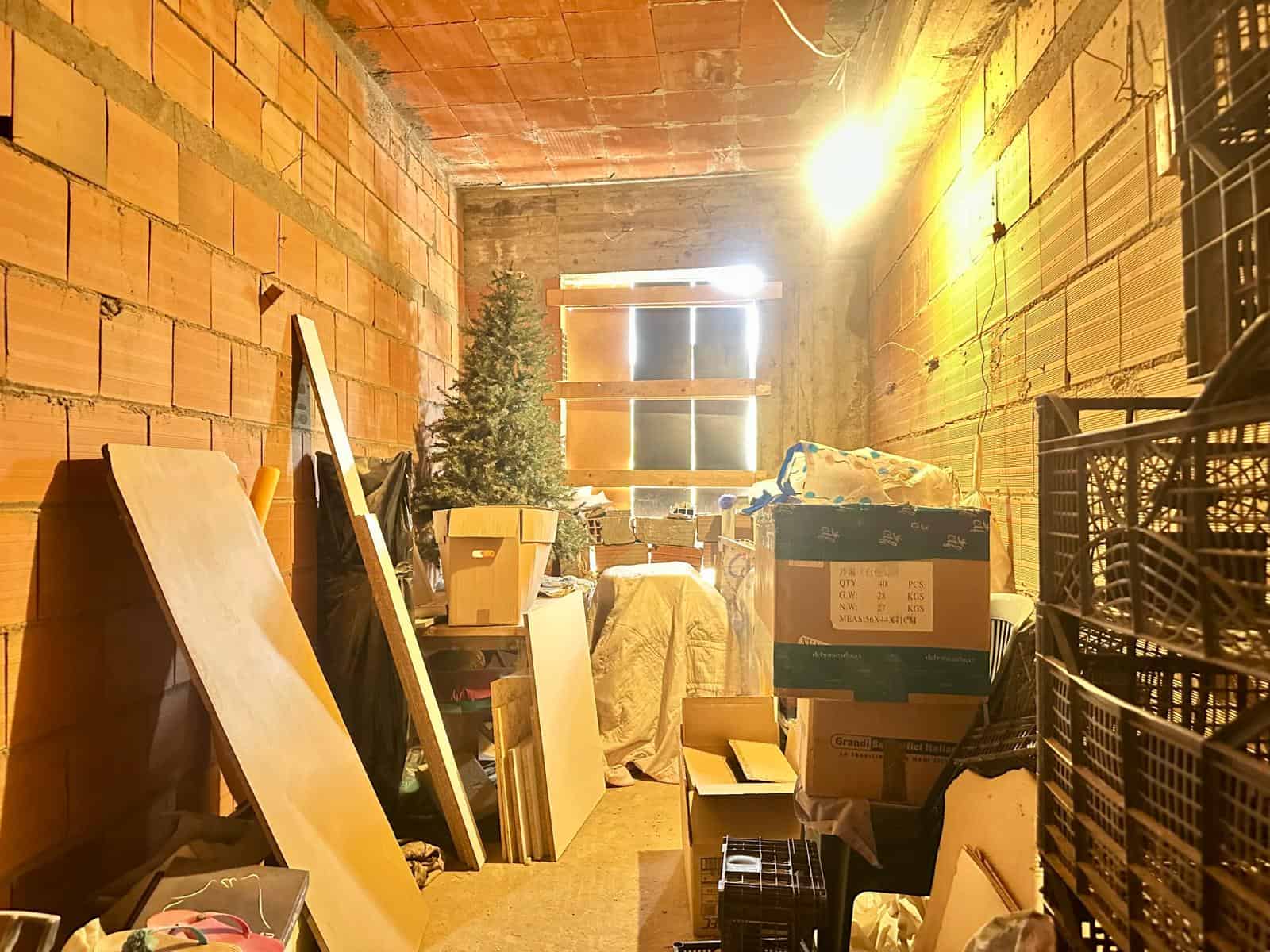 Interno di un magazzino o deposito con scatole, scaffali e un albero di Natale, illuminato da luce naturale e artificiale.