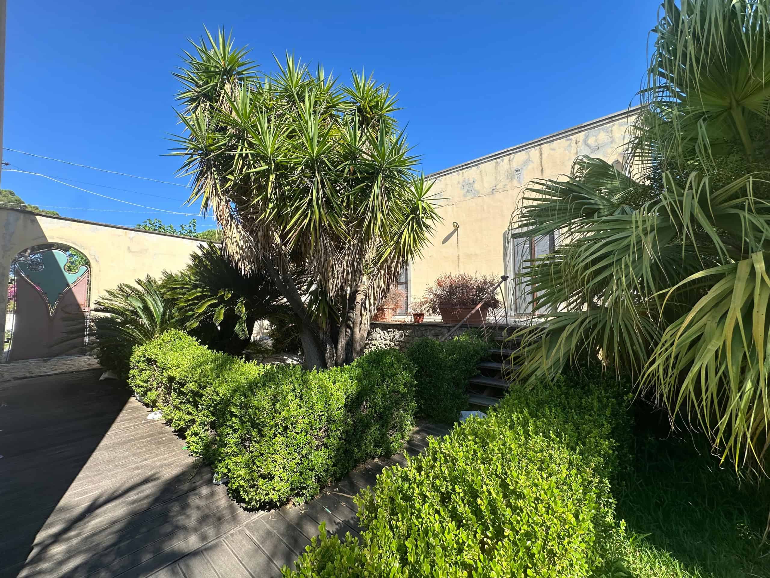 Giardino con piante tropicali e arbusti in una villa in vendita a Milazzo, Sicilia.