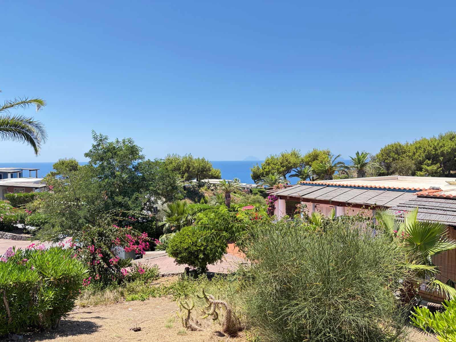 Giardino rigoglioso con piante e fiori, vista mare sullo sfondo, ambiente esterno tranquillo e accogliente.