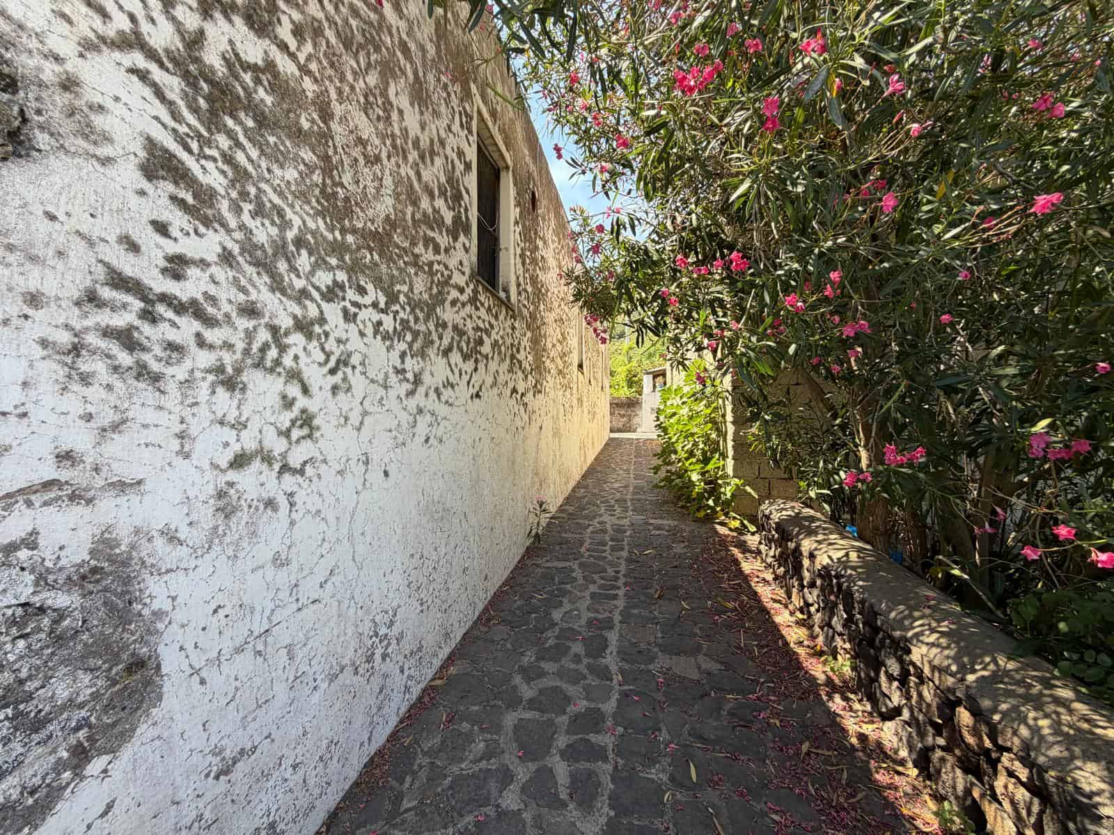 Percorso esterno tra natura e storia con muro bianco e piante fiorite.