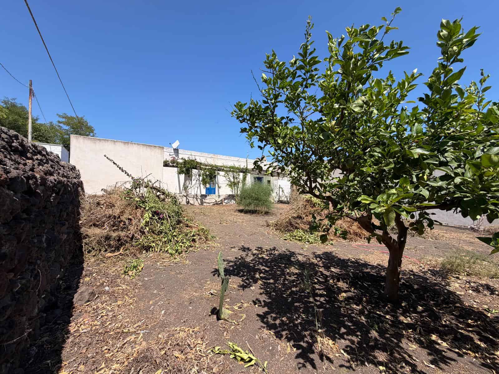 Giardino con albero fruttifero e casa tradizionale in stile mediterraneo, cielo sereno, ambiente rurale tranquillo, ideale per immobili residenziali.