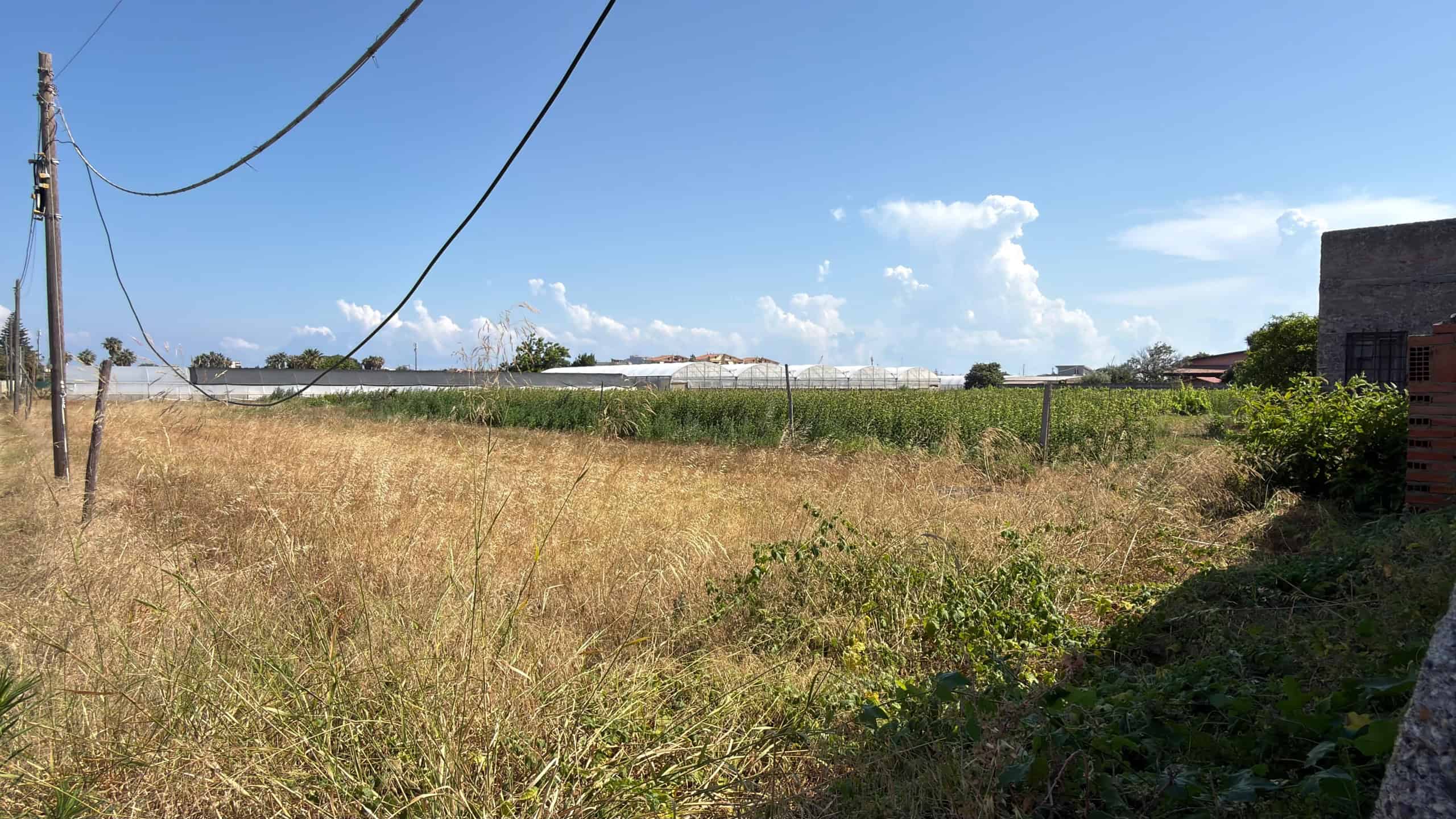 Terreno agricolo pianeggiante con erba secca e linee di energia elettrica sotto un cielo azzurro con nuvole sparse.