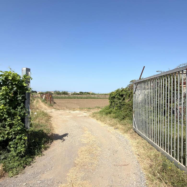 Ingresso di una strada sterrata tra siepi verdi e una recinzione metallica, con un cielo azzurro e senza nuvole, in un'area rurale.