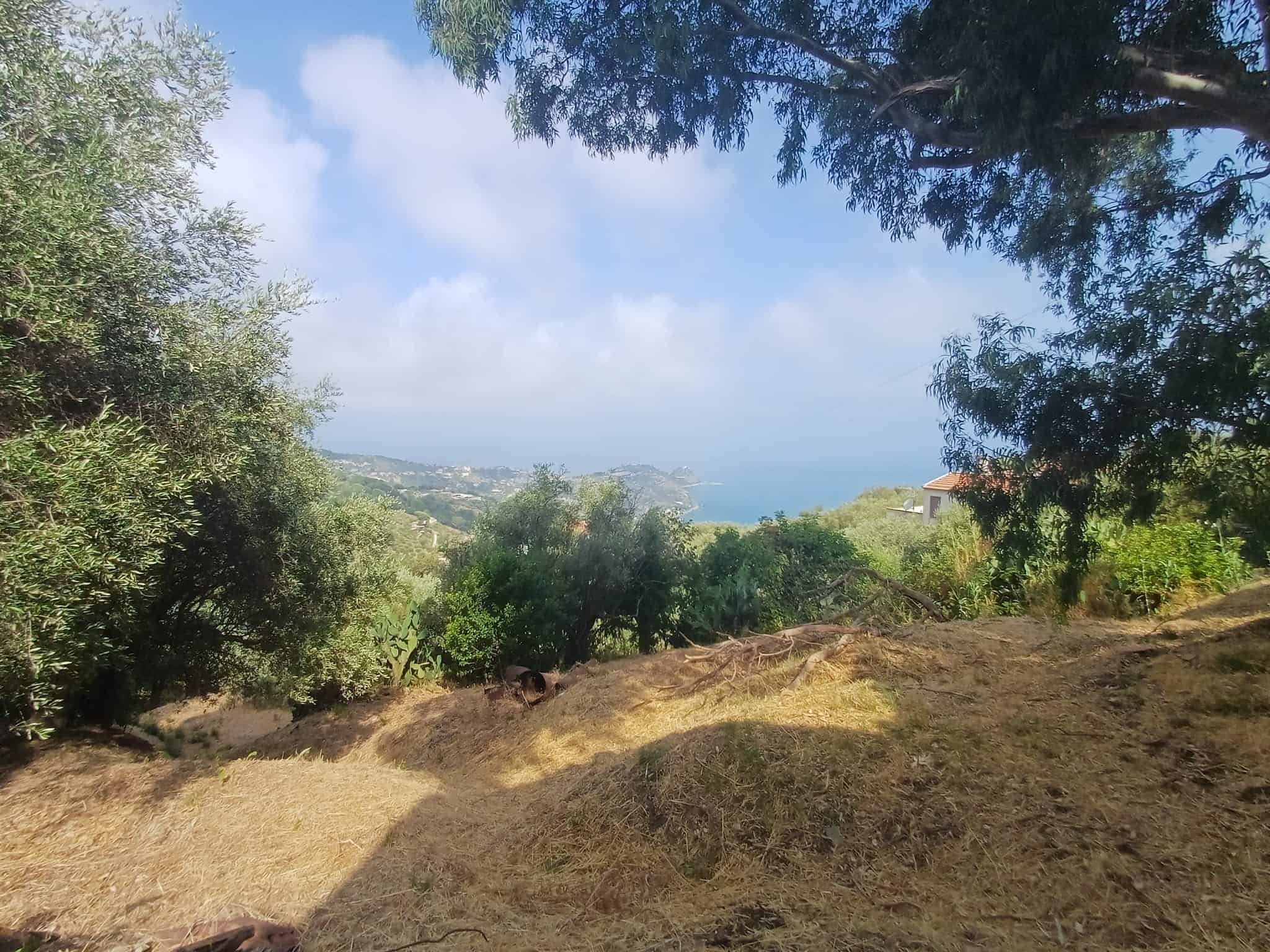 Vista panoramica sulla campagna e il mare da C.da Scafa Alta, Capo d'Orlando, Me.