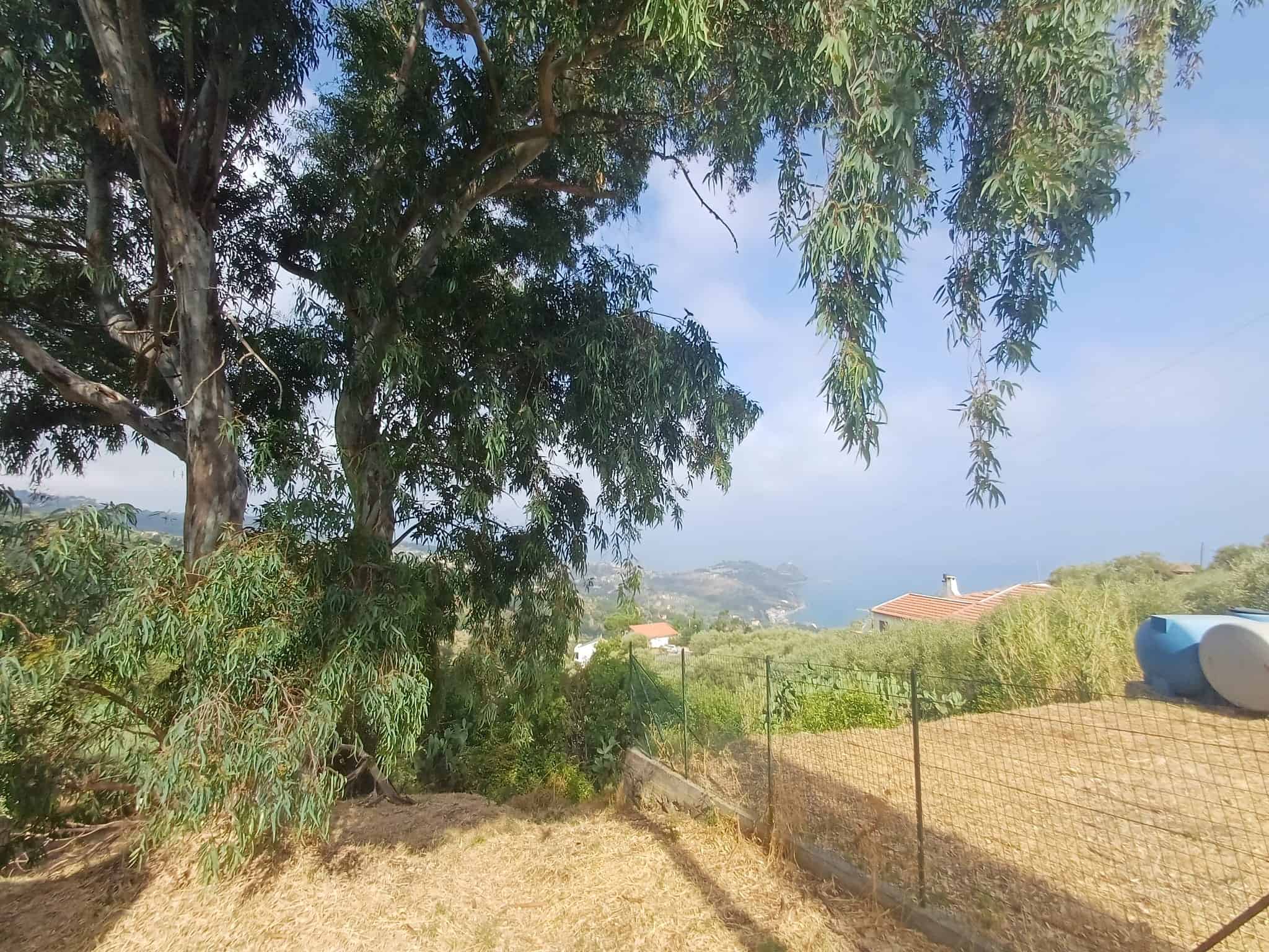Vista panoramica sulla campagna di Capo d'Orlando con alberi e cielo sereno.